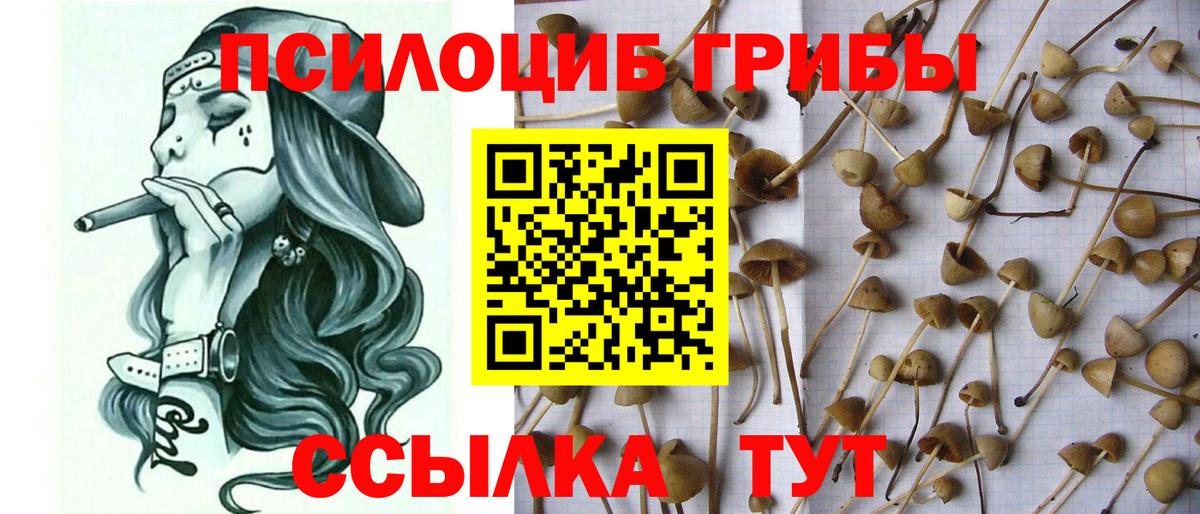 Азнакаево  Псилоцибиновые грибы GOLDEN TEACHER  Вход с VPN 